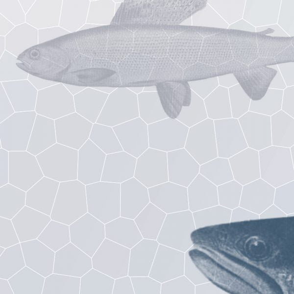 Stylish Blue Fish pattern on shower curtain