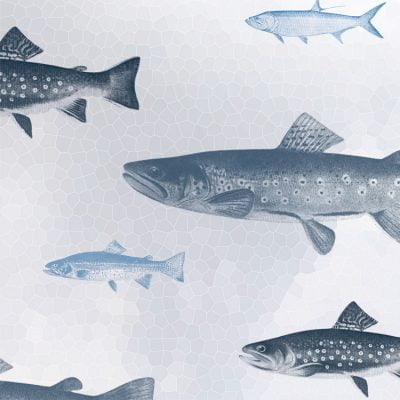 Close up of Blue Fish shower curtain details