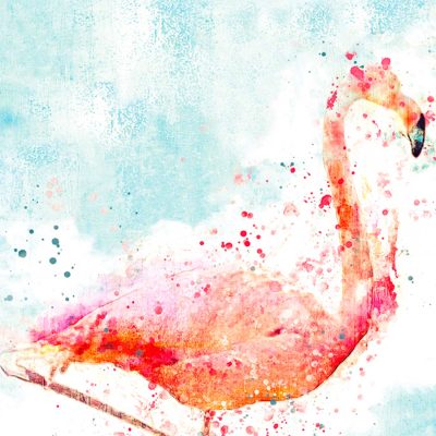 abstract tropical flamingo watercolor shower curtain detail