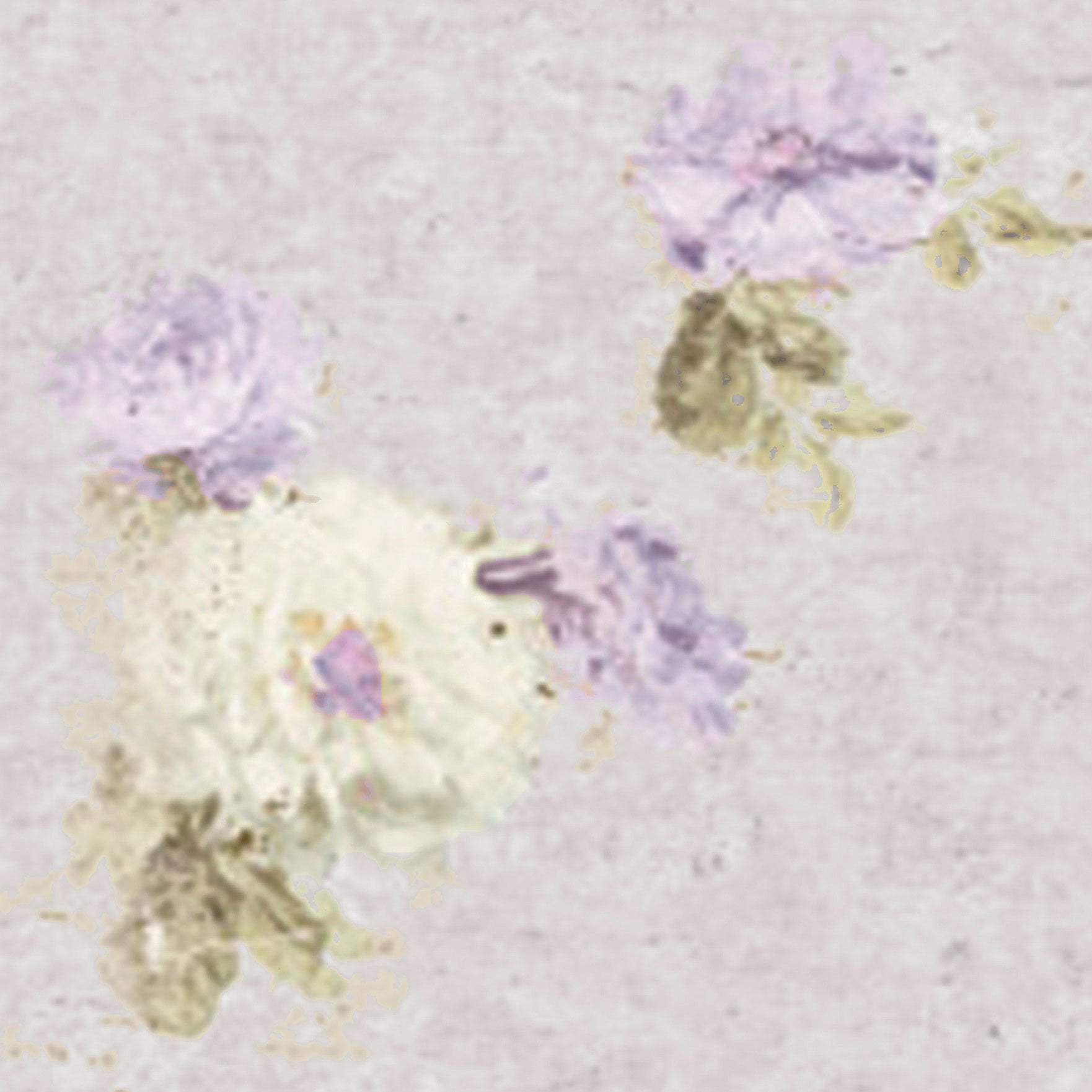 Blurred lavender rose print on shower curtain