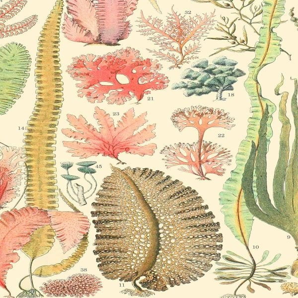 Close-up of textured Algae Bath Mat