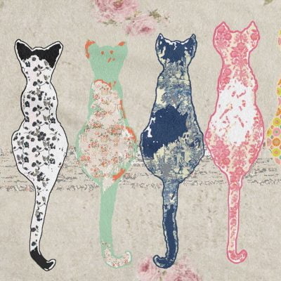 Close Up Of Cat Bath Towels