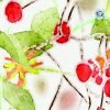 Close-up view of the vibrant colorful wildflower floral artwork patterned on the towels' velour fronts.
