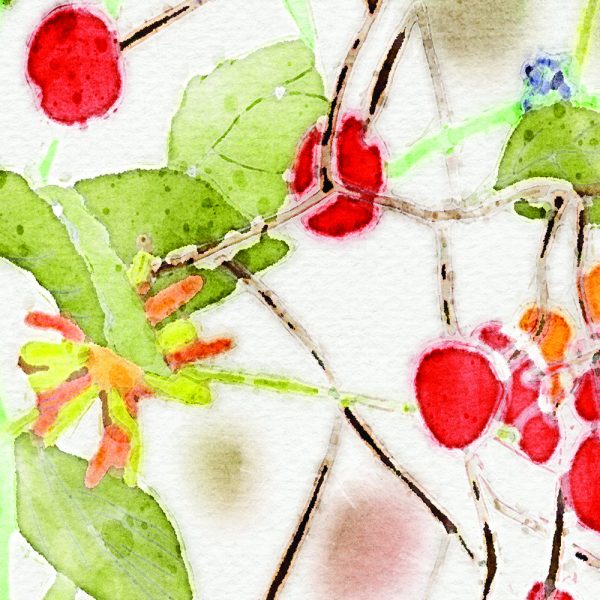 Close-up view of the vibrant colorful wildflower floral artwork patterned on the towels' velour fronts.