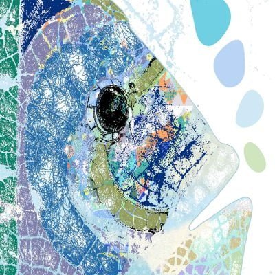 detail of blue fish shower curtain print