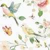 Birds and butterfly wallpaper for kids' rooms and nurseries, available in peel and stick or traditional non-pasted options.