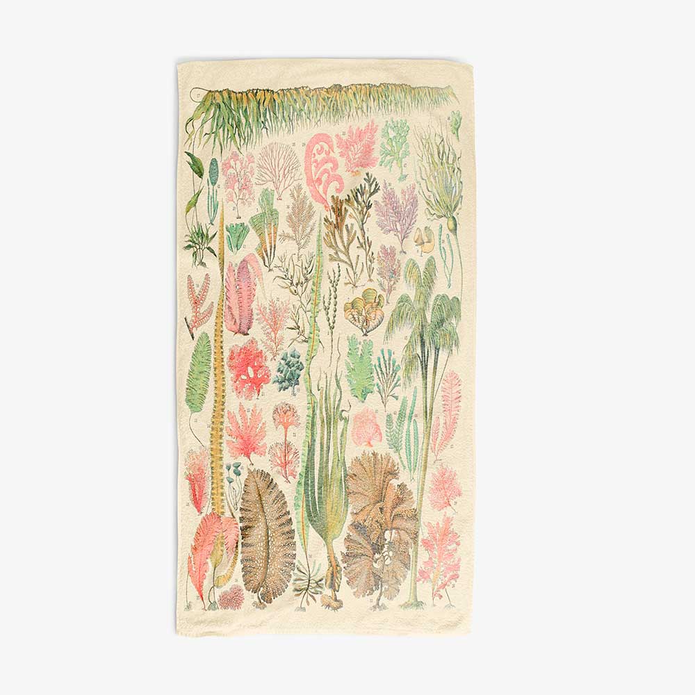 Ocean-inspired botanical towel with a vintage seaweed and algae print.