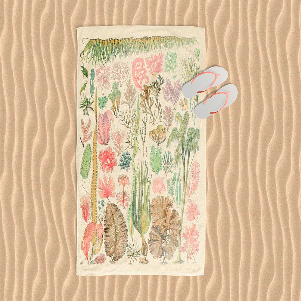Botanical beach towel featuring vintage ocean seaweed and algae illustrations.