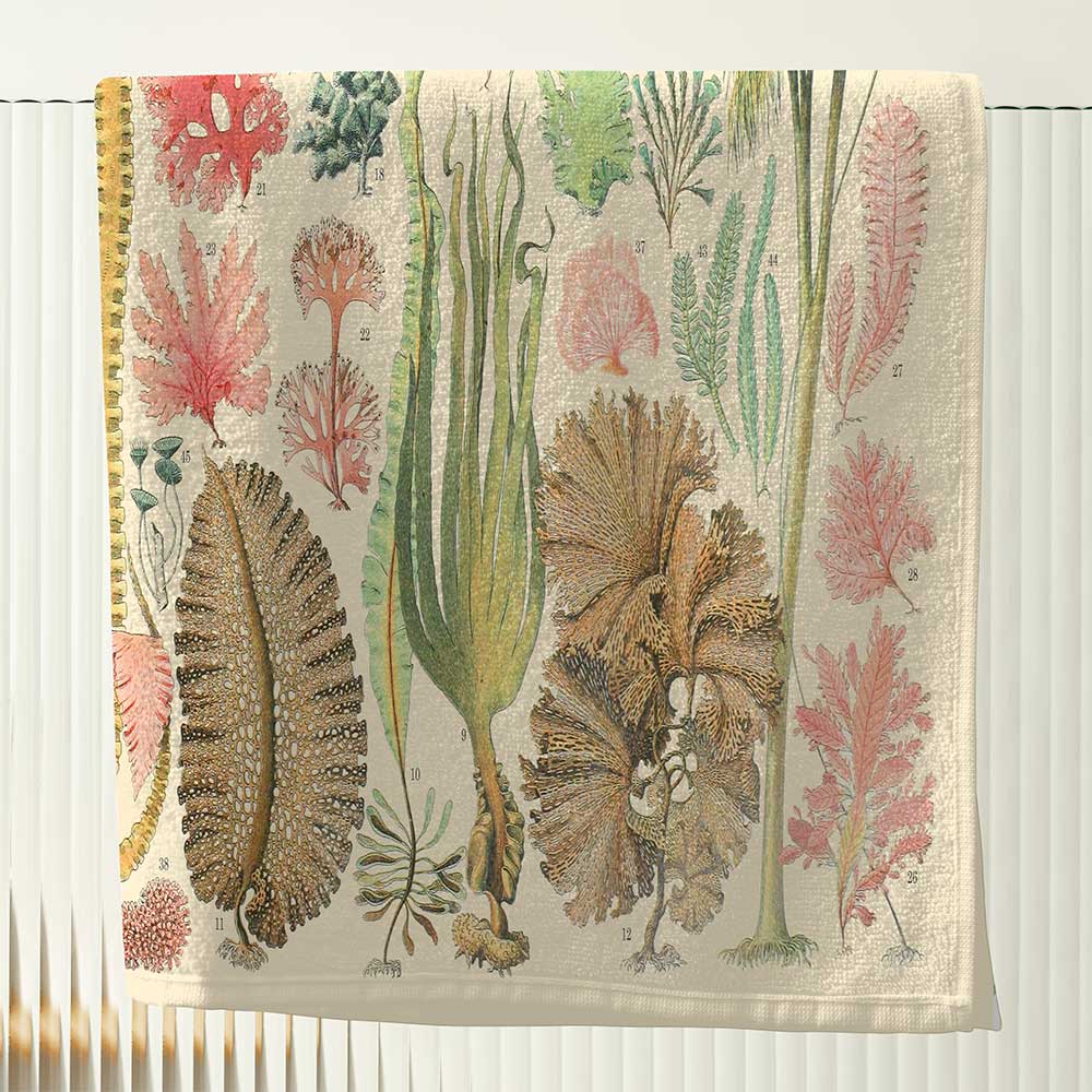 Vintage botanical towel featuring decorative sea plant illustrations in an ocean-inspired design.