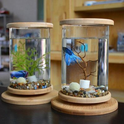 Free standing small fish tank
