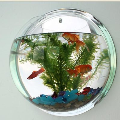 Wall mounted fish tank